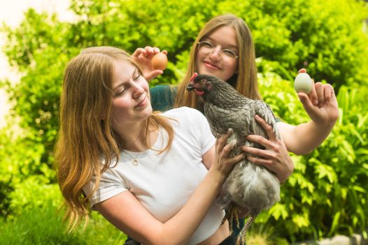 Eine Schülerin hält eine Henne in den Händen, eine zweite Schülerin steht dahinter und hält 2 Eier in die Kamera